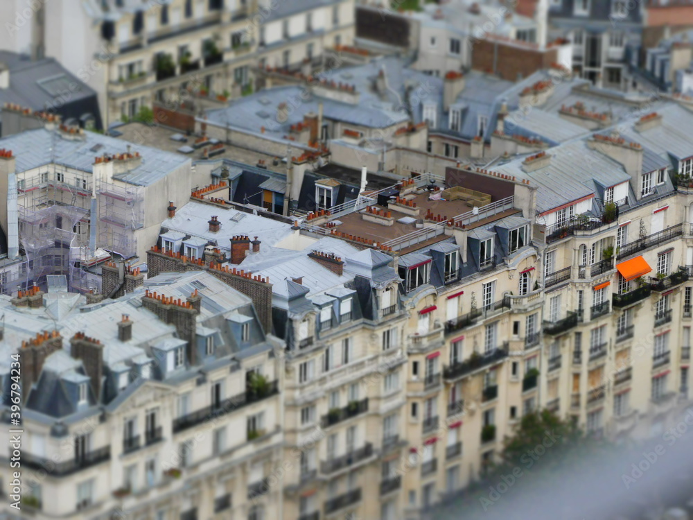 Fototapeta premium view of Paris lens shift