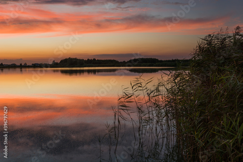 Colorful clouds  mirror image in a lake with reeds