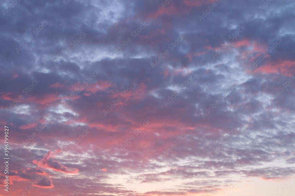 The blue sky.Pink and white clouds indicate pure and freshing. Sunset clouds.