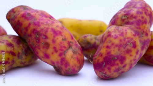 Olluco (Ullucus tuberosus), a exotic and colorful root crop from the Andean, used as food photo