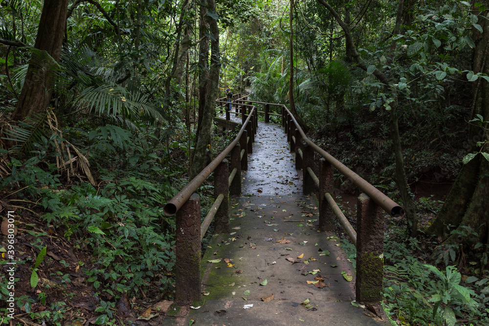 Nature trail in Khao Yai National Park Nature trail in Khao Yai National Park