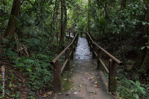Nature trail in Khao Yai National Park