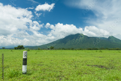 Bekol is a savanna in Baluran National Park, a place where visitors can see wildlife. photo