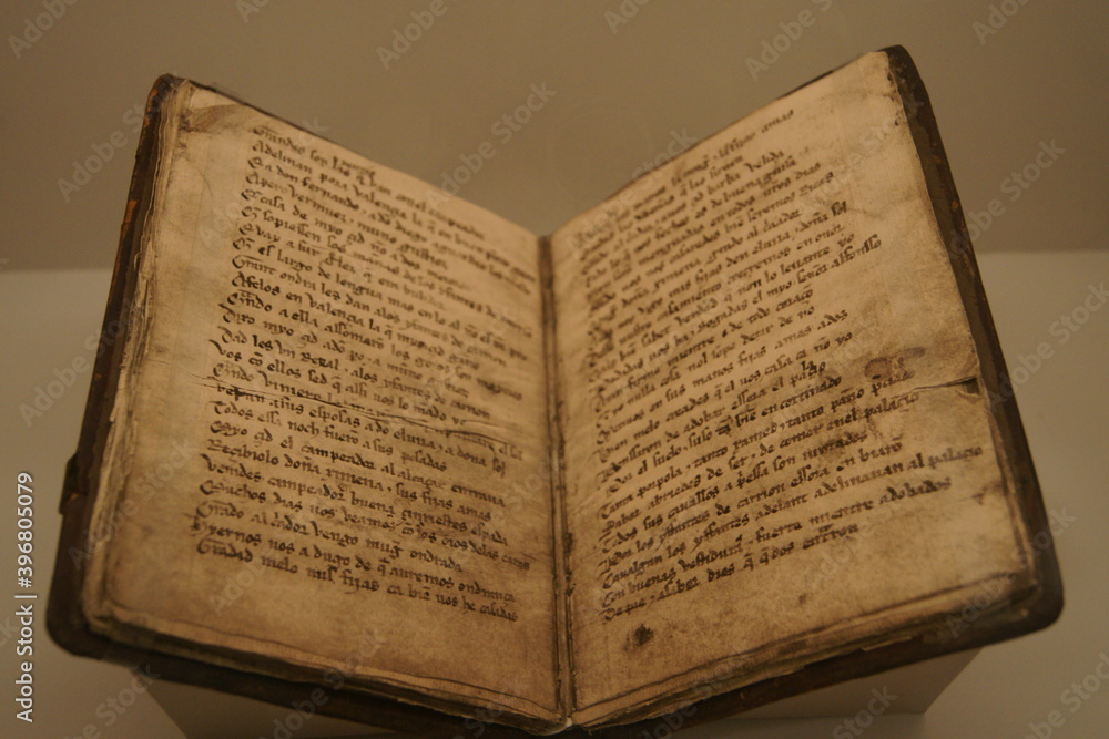 Fototapeta premium libro