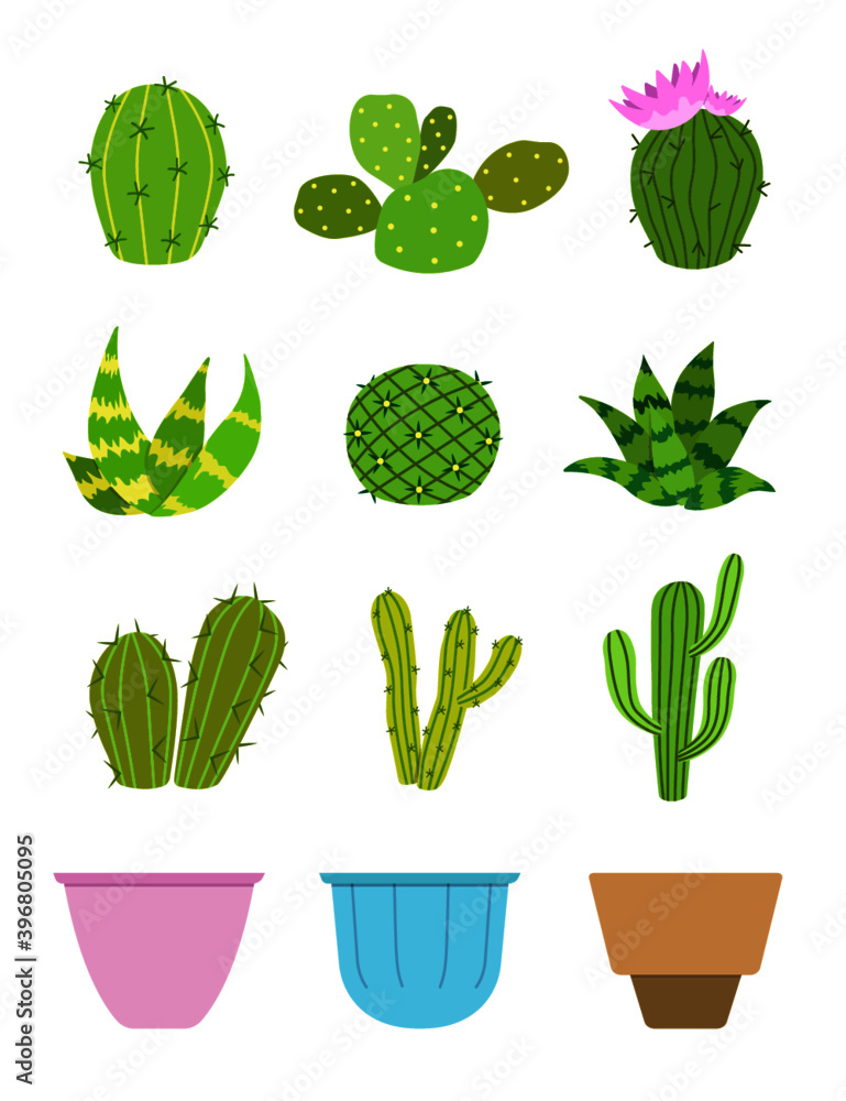 Set of cactus plants Set of cactus plants