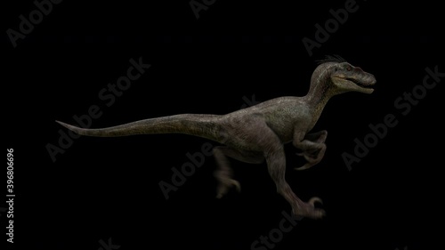 Isolated dinosaur raptor run in loop with alpha background
Jurassic park predator animal walk in seamless loop  3d animation with cleaan alpha channel.
you can change the background photo