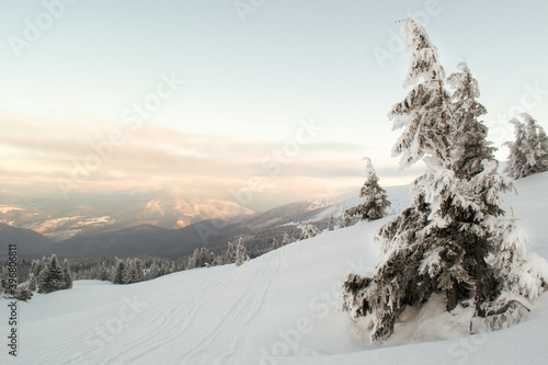 Ski slope in snowy pine trees. Mountain landscape. Horizontal orientation. Copy space.