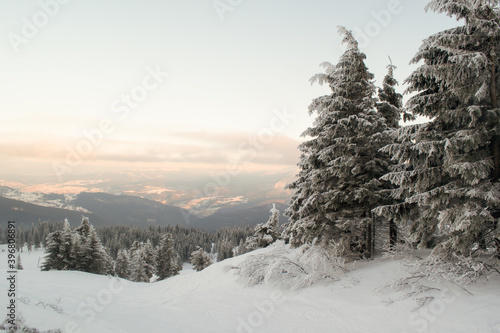 Fototapeta Naklejka Na Ścianę i Meble -  Snow covered mountains, pines and bushes. Mountain landscape. Concept of winter hiking in the mountains. Horizontal orientation. Copy space.