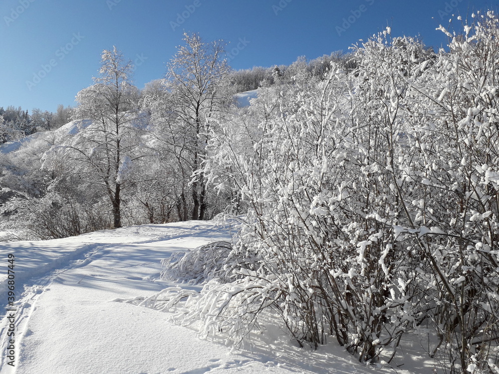 Winter landscape. Trees and shrubs are covered with snow. The path leads to a low mountain. Blue sky. Winter landscape. Trees and shrubs are covered with snow. The path leads to a low mountain. Blue sky.