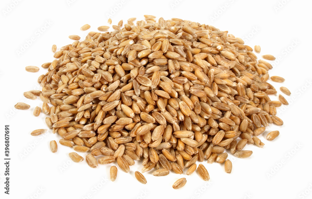 Spelt Grain on white Background - Isolated Spelt Grain on white Background - Isolated
