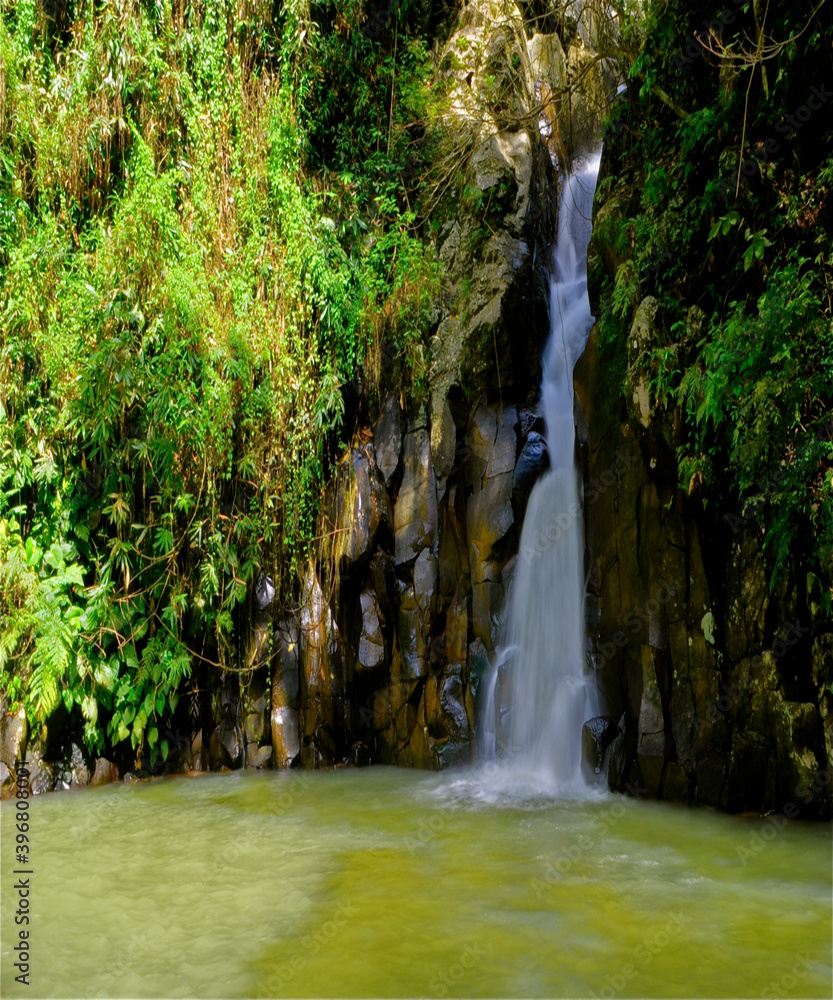Beautiful waterfalls in the forest with green plant and the trees Beautiful waterfalls in the forest with green plant and the trees