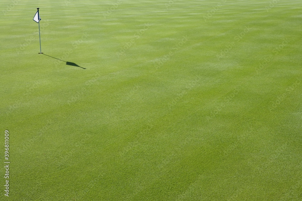Putting green surface on golf course