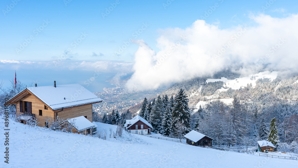 First snow on the swiss Riviera, Caux, Switzerland. 