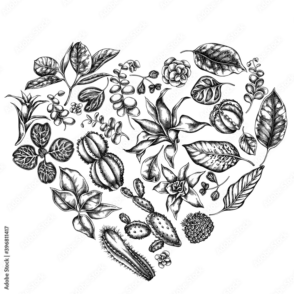 Heart floral design with black and white ficus, iresine, kalanchoe, calathea, guzmania, cactus Heart floral design with black and white ficus, iresine, kalanchoe, calathea, guzmania, cactus