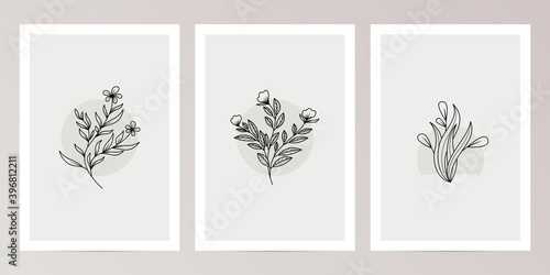 Set of Vintage Botanical Lineart Design Template for Wall Decoration, poster, brochure, giftcard, invitation card 