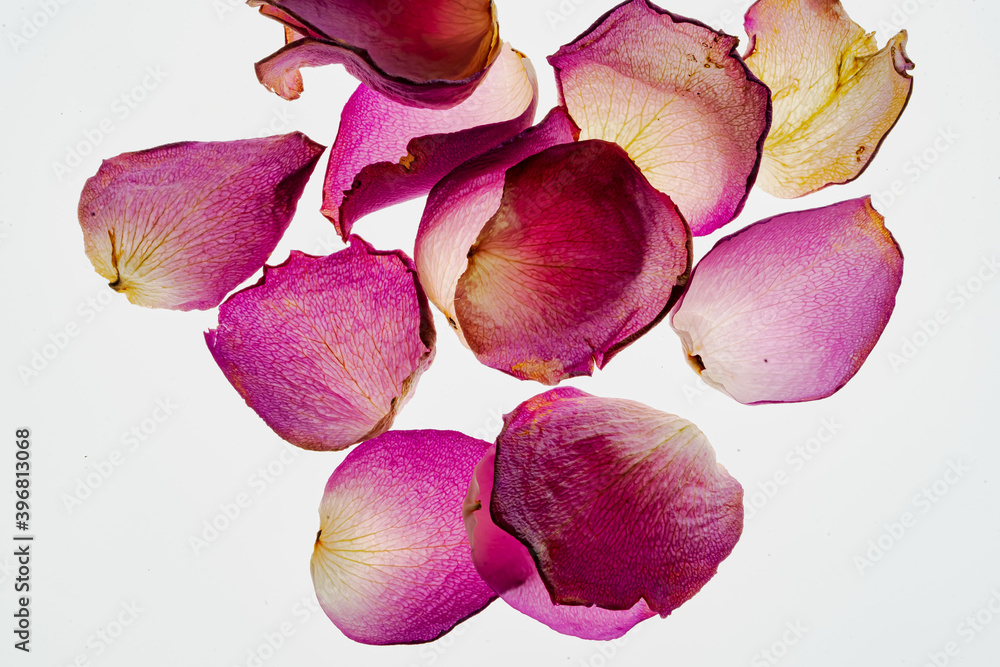 Rosenblätter