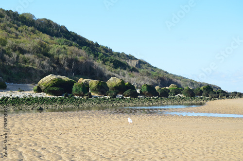 falaises des vaches noires villers sur mer