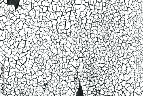 Monochrome vector texture overlay based on craquelure of old oil paint.