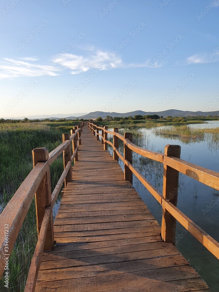 Fototapeta premium wooden bridge over the lake