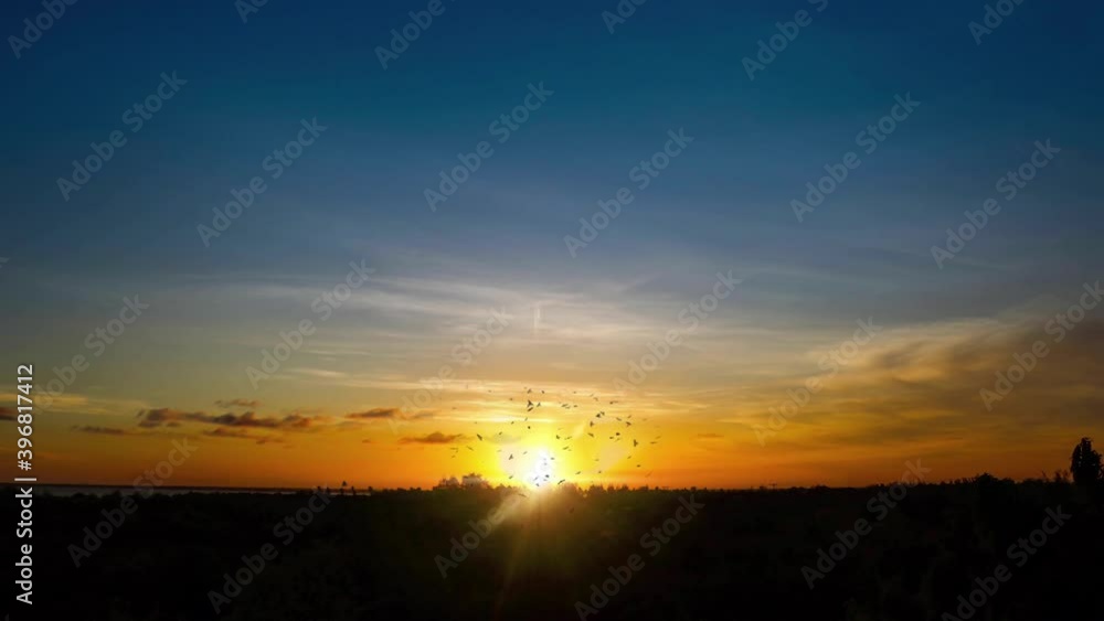 Sunset Sky with Horizon and Bird Flock Silhouette Sunset Sky with Horizon and Bird Flock Silhouette