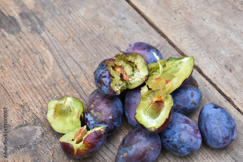 Organic ripe plum with a worm inside. Larva of Plum fruit moth - Grapholita (sometimes Cydia) funebrana in plum fruit