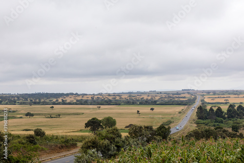 Road Ntulele Narok Suswa Kenyan Highway Roads Landscape Safaris Travel Scenic Views  photo