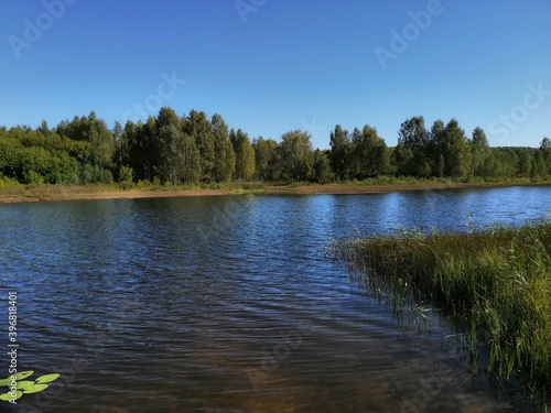 lake in the woods