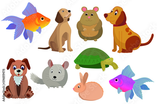 vector set of Pets. bright and modern children's illustration. Set with chinchilla, dog, fish, rabbit, and turtle.