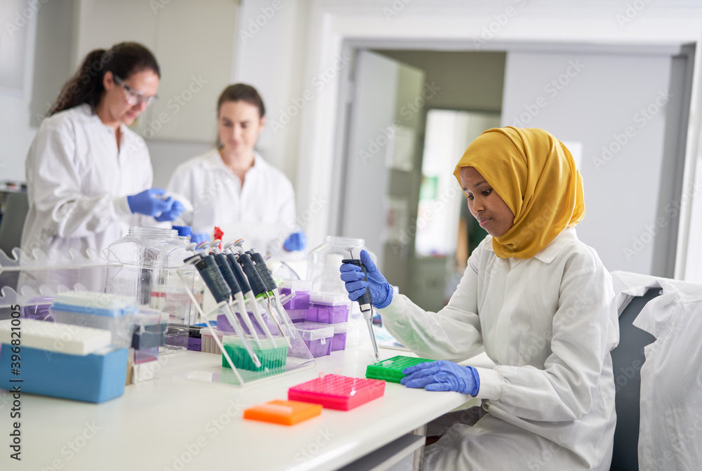 Female scientist in hijab filling pipette trays in laboratory Female scientist in hijab filling pipette trays in laboratory
