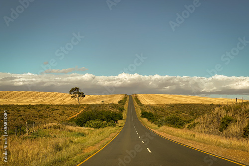 Scenic view of landscape at Overberg district, South Africa.