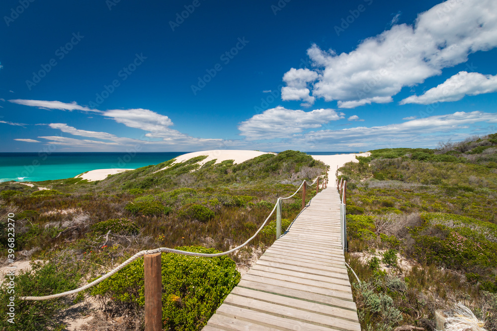 Scenic view of wooden footpath leading to sand dunes at De Hoop nature Reserve, South Africa.