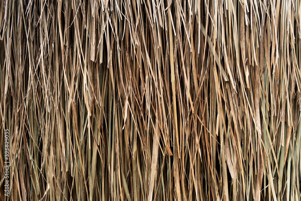 Texture of dry hay forage for livestock Texture of dry hay forage for livestock