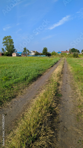 Obraz na płótnie road in the countryside w salonie