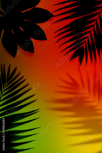 Dazzling beauty. Summer tropical exotic leaves isolated on bright background. Design for invitation cards  flyers. Abstract design templates for posters  covers  wallpapers with copyspace for text.