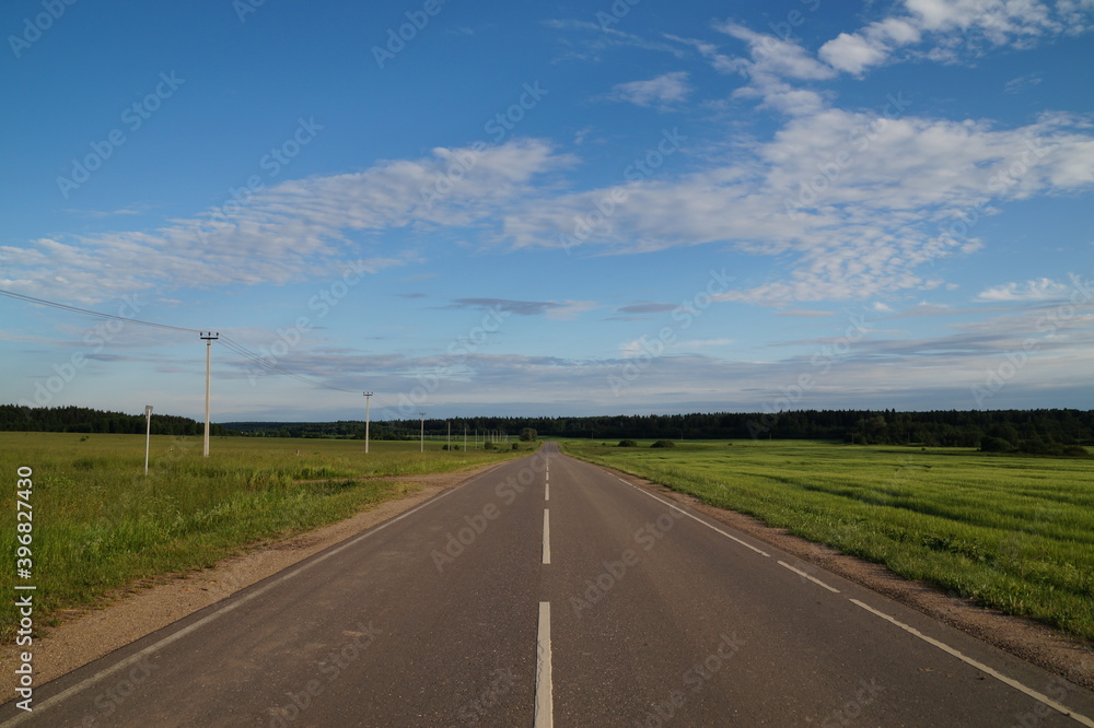 an empty paved road in the middle of a field goes into the distance