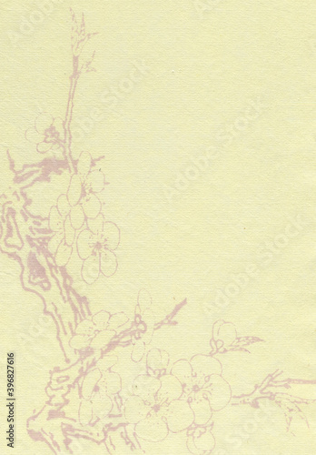 Chinese rice paper