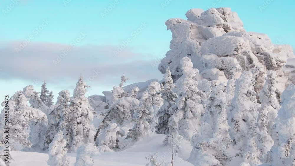 custom made wallpaper toronto digitalMountain slope with frost rock at snow covered trees