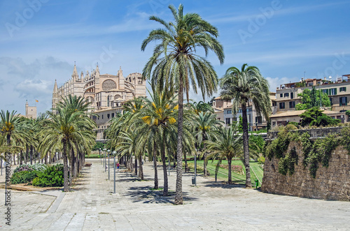 Walking to the cathedral of Palma de Mallorca  Spain