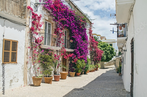 Old street with flowers on the wall in Ibiza  Spain
