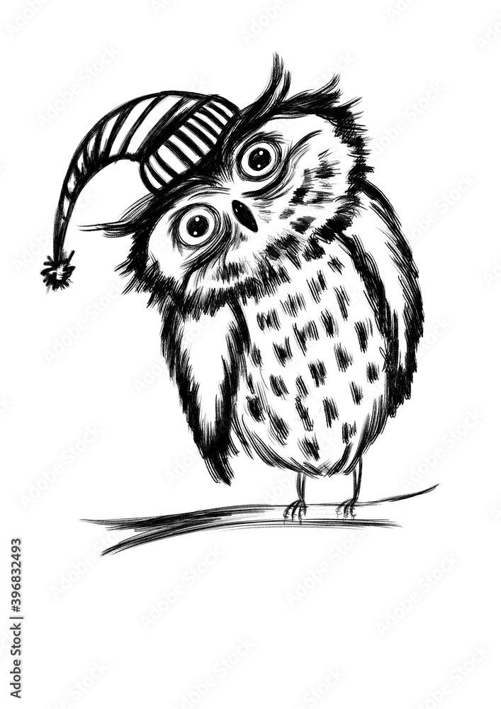 Naklejka premium A close up of a bird. Owl.