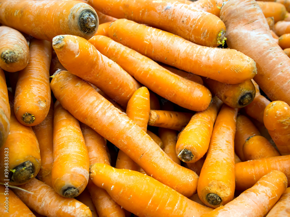 Root vegetables of fresh carrots lie in a pile Root vegetables of fresh carrots lie in a pile