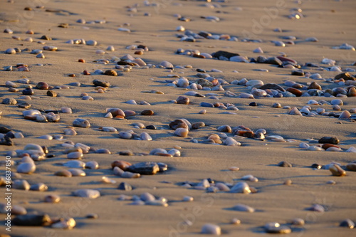 Some stones laying on the sand.
