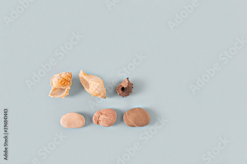 three shells and three sea stones on a gray-blue background