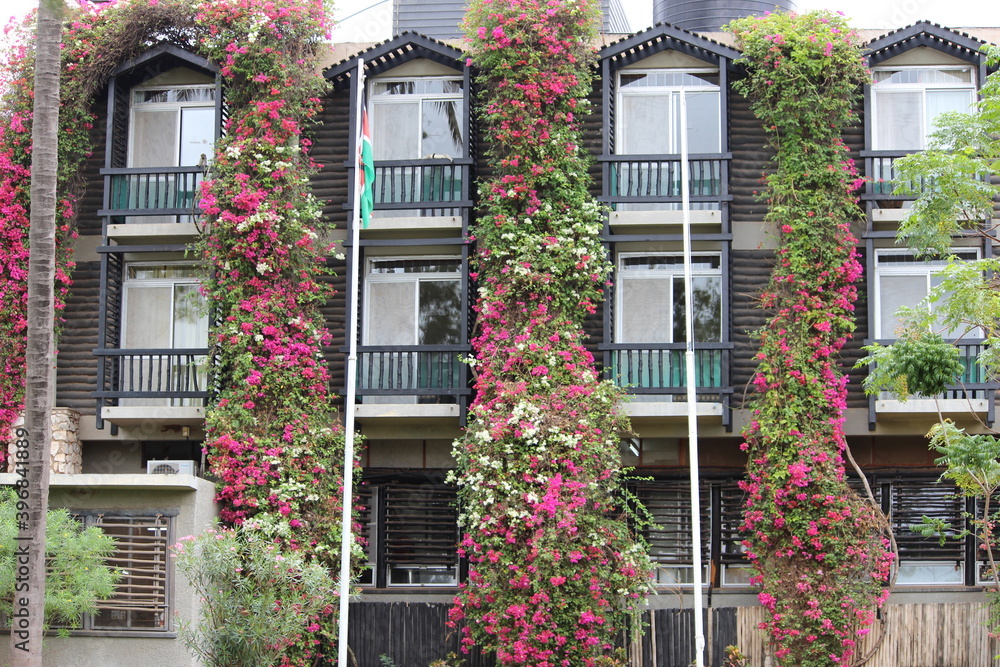 Face of a building with flowers on the windows Face of a building with flowers on the windows