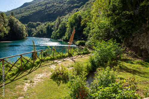 small stifone garden on the river photo