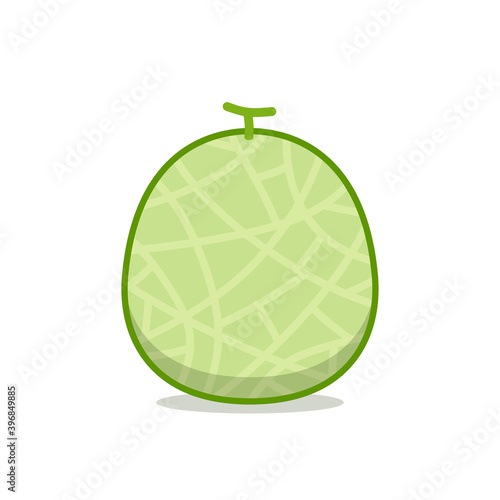 Melon vector. melon on white background. wallpaper. symbol. logo design. melon poster.