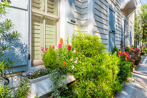 Closed pastel blue color windows and pink orange flowers in planter as decorations on sunny summer day architecture in Charleston, South Carolina © Kristina Blokhin