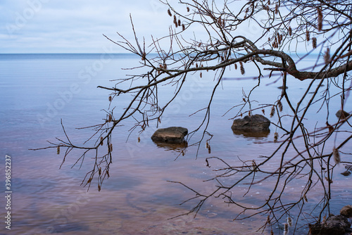 Autumn landscape on the Rybinsk reservoir, Russia. Sandy beach with trees and rocks photo