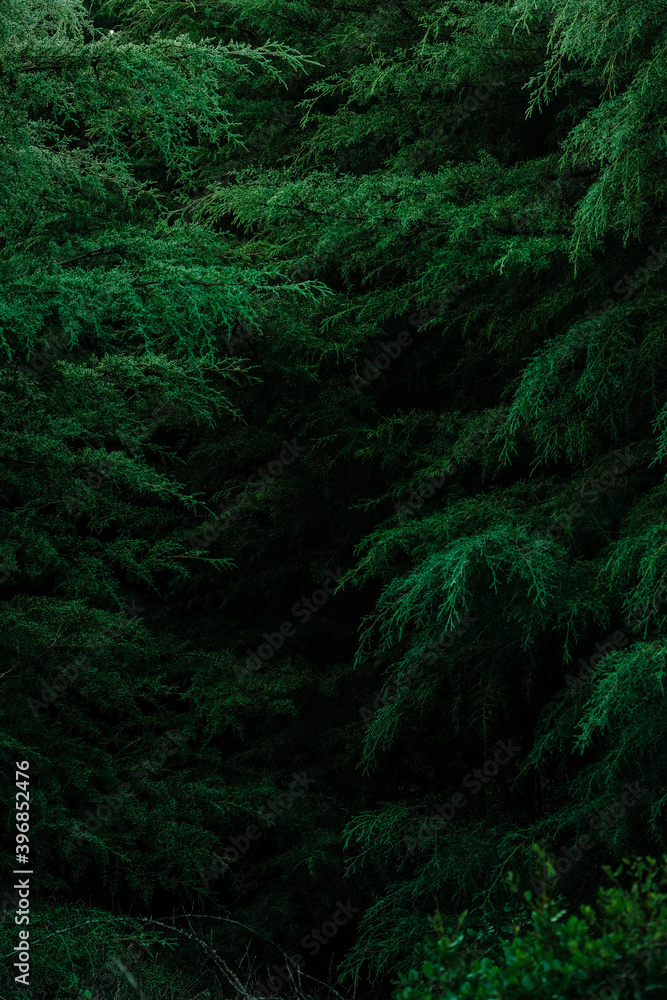 Espaço escuro e sombrio Espaço escuro e sombrio