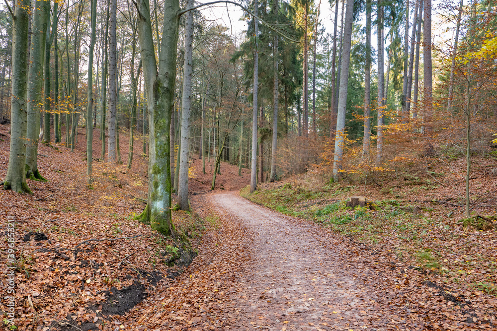Fototapeta premium Hamburg, Germany. The Harburg Hills (German: Harburger Berge), a landscape of hilly forests, in autumn.